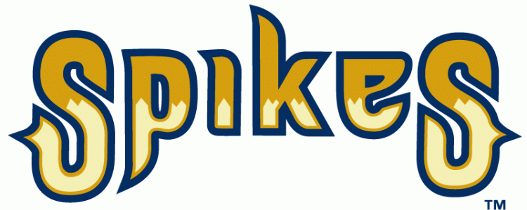 State College Spikes 2006-Pres Wordmark Logo iron on heat transfer
